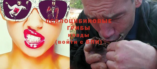 бошки Алексеевка