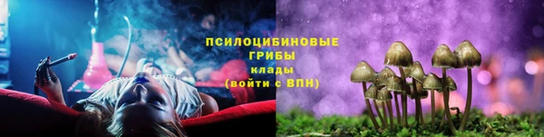 бошки Алексеевка